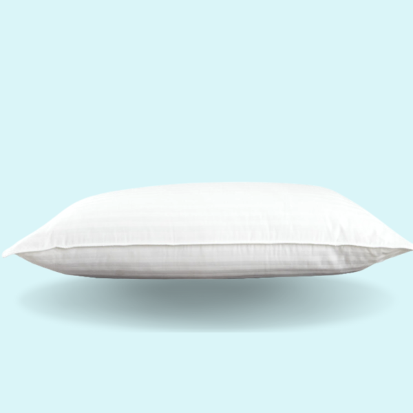 Indulegence Microfibre Pillow